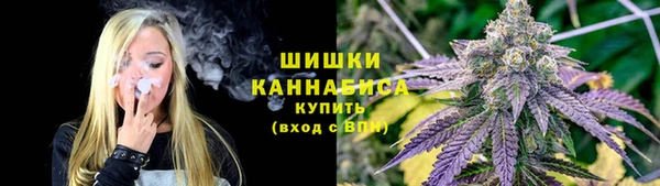 прущие грибы Снежинск